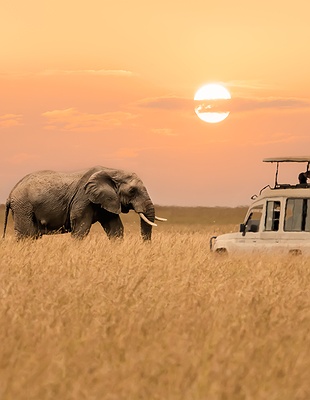 Kenya